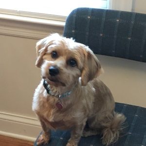 Meet your Posher, Joni